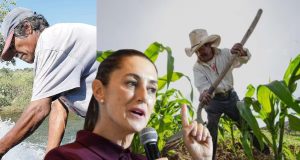 Ordena Sheinbaum liquidar adeudos históricos con productores del campo