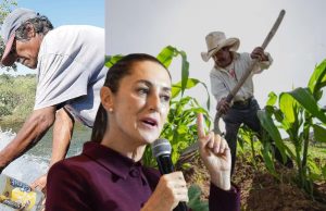 Ordena Sheinbaum liquidar adeudos históricos con productores del campo