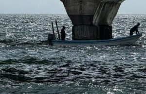 Alerta ambiental en Yucatán: Reportan derrame de hidrocarburos en Puerto Progreso