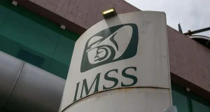 Alerta en el IMSS: Detectan red de fraude mediante robo de identidad