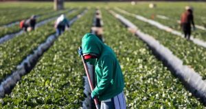 Mexicanos en EE. UU. serían la 8° economía mundial, superando a Brasil y Canadá