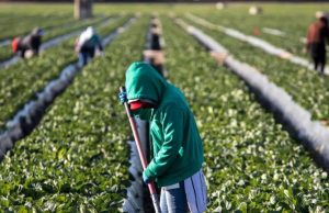 Mexicanos en EE. UU. serían la 8° economía mundial, superando a Brasil y Canadá