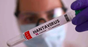 Hantavirus en México: Secretaría de Salud aclara la situación y confirma vigilancia activa