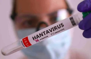 Hantavirus en México: Secretaría de Salud aclara la situación y confirma vigilancia activa