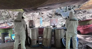 Fuerzas federales desmantelan cinco laboratorios clandestinos en Jalisco, Nayarit y Sinaloa