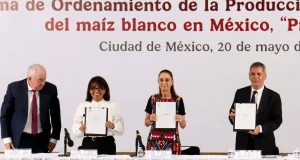 Blindaje a la soberanía alimentaria: El Gobierno federal pacta el “Precio Justo” para frenar la crisis del maíz blanco