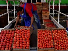 El tomate se convierte en el nuevo símbolo de la crisis de asequibilidad en EE. UU.