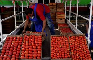 El tomate se convierte en el nuevo símbolo de la crisis de asequibilidad en EE. UU.