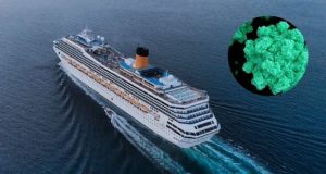 Brote de norovirus afecta a más de 100 personas en nuevo crucero