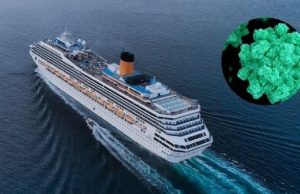 Brote de norovirus afecta a más de 100 personas en nuevo crucero