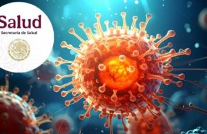 Alerta sanitaria en México: Emiten aviso epidemiológico por brote de hantavirus