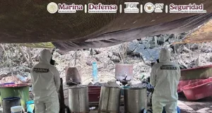 Fuerzas federales desmantelan cinco narcolaboratorios en Jalisco, Nayarit y Sinaloa