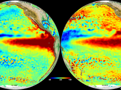 “El Niño” viene muy fuerte y agresivo con altas temperaturas y escasez de lluvias: Startup Rennaissance
