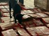 Aseguran en México casi 2 toneladas de corteza de tepezcohuite con destino a Países Bajos