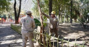 Rejas en parques de la CDMX: ¿seguridad o exclusión?