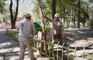 Rejas en parques de la CDMX: ¿seguridad o exclusión?
