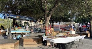 Acuerdo en Monterrey para regular el comercio ambulante ante el Mundial