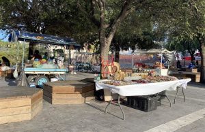 Acuerdo en Monterrey para regular el comercio ambulante ante el Mundial