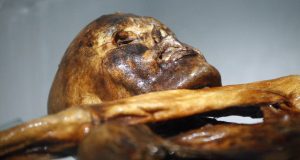 La levadura de Ötzi revela secretos milenarios