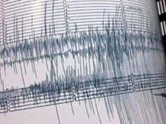 Potente terremoto de 7.7 provoca alerta de tsunami en Indonesia