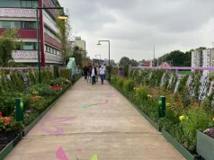 Inauguran Jardín Flotante Tlallipan en CDMX