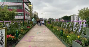 Inauguran Jardín Flotante Tlallipan en CDMX