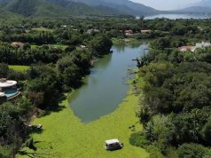 Plaga de lechuguilla en presa La Boca tardará más de un mes en eliminarse
