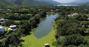 Plaga de lechuguilla en presa La Boca tardará más de un mes en eliminarse