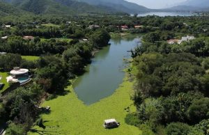Plaga de lechuguilla en presa La Boca tardará más de un mes en eliminarse