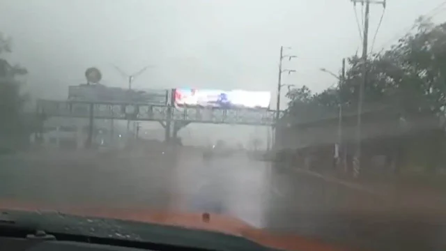 maslluvia