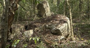 Un templo de 13 metros y una estela de decapitación: la nueva ciudad maya hallada en Campeche