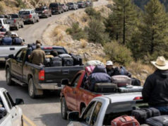 Familias desplazadas llegan a Parral huyendo de la violencia en la sierra de Durango y Chihuahua