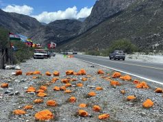 Congreso de NL exige investigar daño ecológico por pintura naranja en La Huasteca
