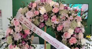 Adolescente víctima de bullying por vitíligo se suicida en Caborca
