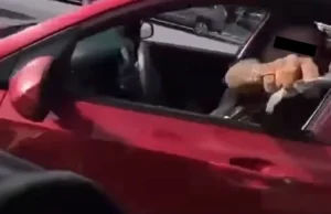 Hallan 47 tarjetas bancarias a chofer de app que se resistió a la detención en San Pedro