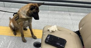 Cae pasajero con cocaína escondida en silla de ruedas en Cancún