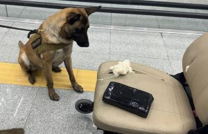 Cae pasajero con cocaína escondida en silla de ruedas en Cancún