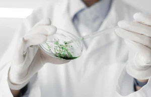 Nature publica hallazgo de antibiótico que podría combatir bacterias resistentes