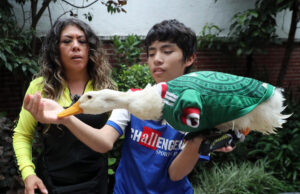 “Ya no estamos vulnerables”: dueña del pato Merlín recibe casa del Gobierno