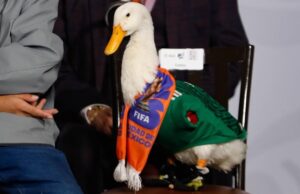 De las calles de la CDMX a un billete de lotería: la historia de El Pato Merlín