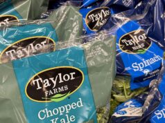 Planta de Taylor Farms en Guanajuato suspende operaciones por brote en EU