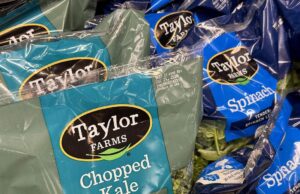 Planta de Taylor Farms en Guanajuato suspende operaciones por brote en EU