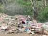 Autoridades ambientales clausuran terreno usado como tiradero en La Huasteca