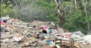 Autoridades ambientales clausuran terreno usado como tiradero en La Huasteca
