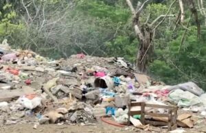 Autoridades ambientales clausuran terreno usado como tiradero en La Huasteca