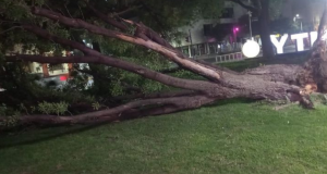 Nuevo León recibirá rachas de viento de hasta 60 km/h este jueves por la noche