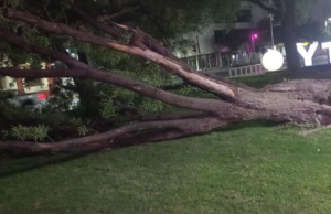 Nuevo León recibirá rachas de viento de hasta 60 km/h este jueves por la noche